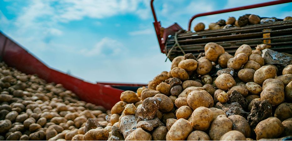 McCain Farm of the Future (2023-)