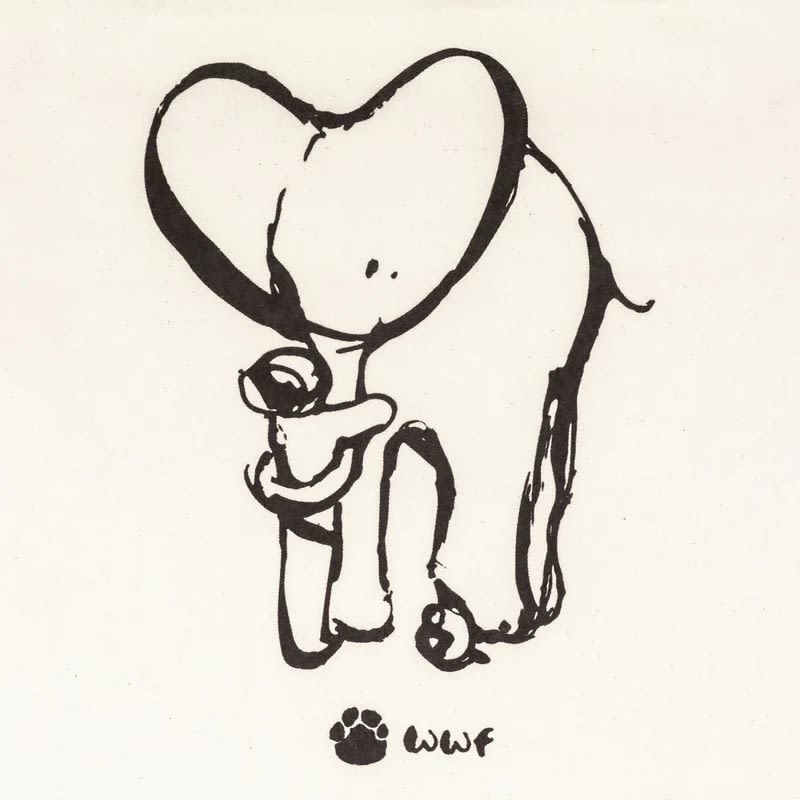 Charlie Mackesy WWF (2020)