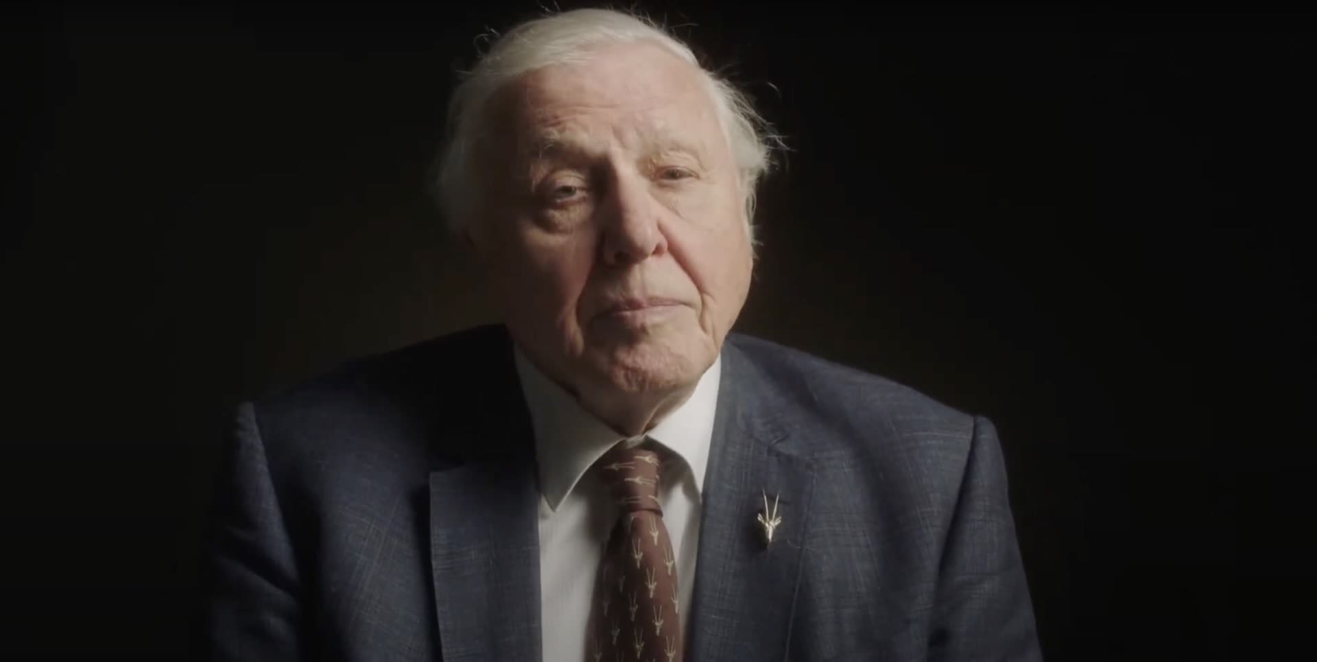 Mars The Lion’s Share (2018)